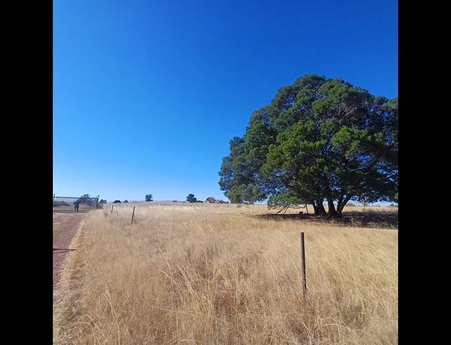8.50HA VACANT LAND FOR SALE IN WITKOP